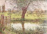 William Bell Scott Landscape with a Gate and Watermeadow (mk46) china oil painting reproduction